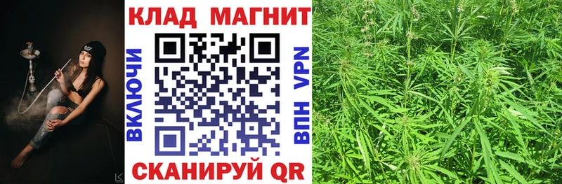 Купить закладку Липецк ГАШ  АМФЕТАМИН  Галлюциногенные грибы  МЕФ  КОКАИН  Альфа ПВП 