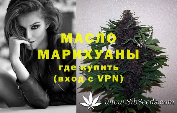 гидра Михайловка