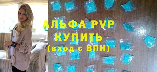 индика Алапаевск
