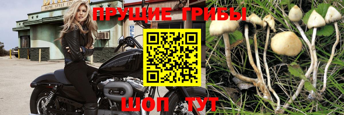 дарнет шоп  Галлюциногенные грибы мицелий  Липецк  Галлюциногенные грибы Magic Shrooms 