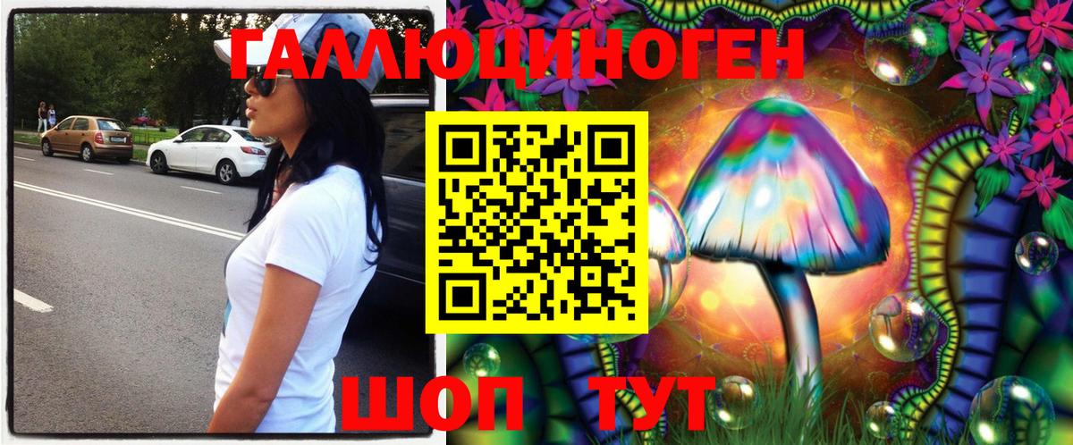 Галлюциногенные грибы Psilocybine cubensis Липецк